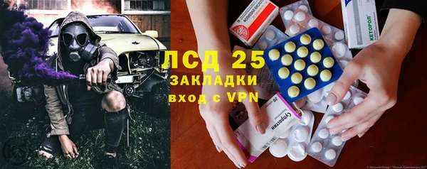 spice Алзамай