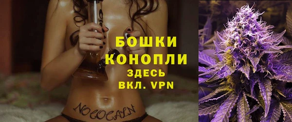 spice Алзамай