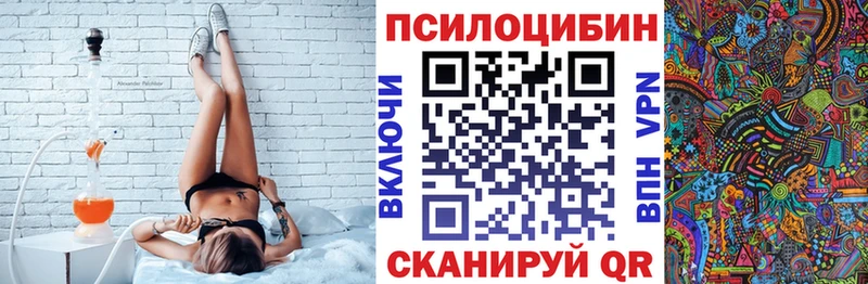 Галлюциногенные грибы GOLDEN TEACHER  купить   Гурьевск 
